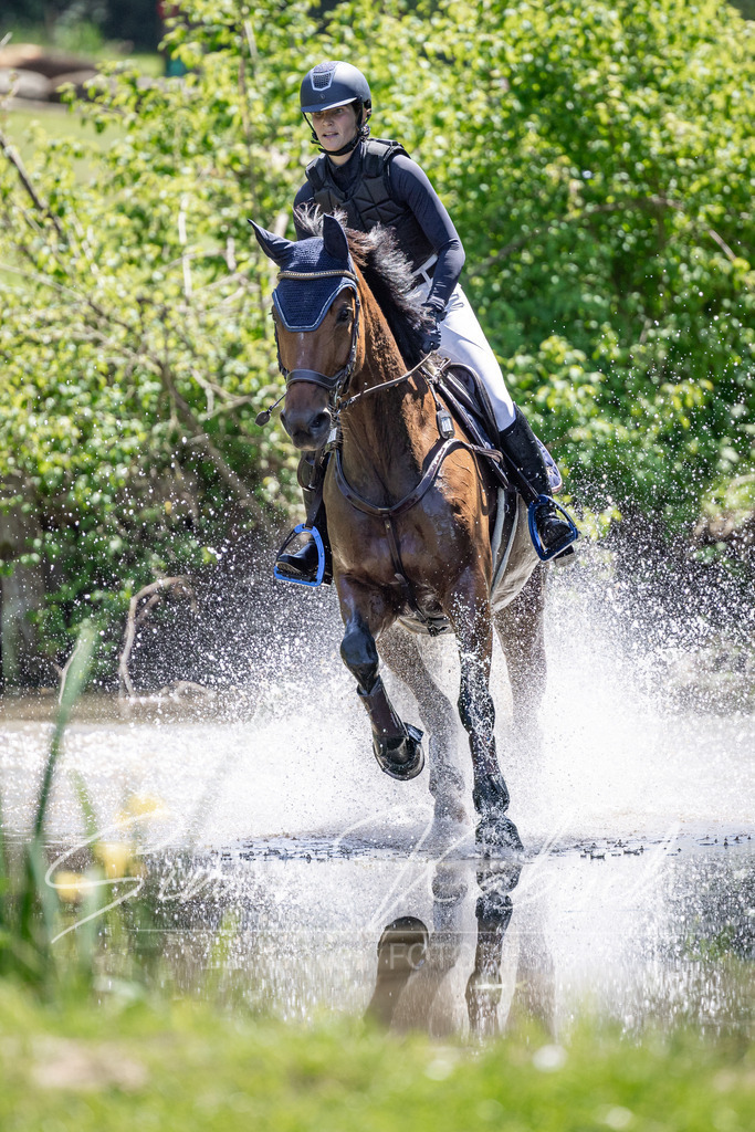 20260523-_3LI8765 | Tierfotografie Pferde, Hunde, Katzen, Haustiere.
Turnierfotografie Reitturniere, Reiten, Springreiten, Dressur in Hanau, dem Main-Kinzig-Kreis und dem Rhein-Main- Gebiet um Frankfurt