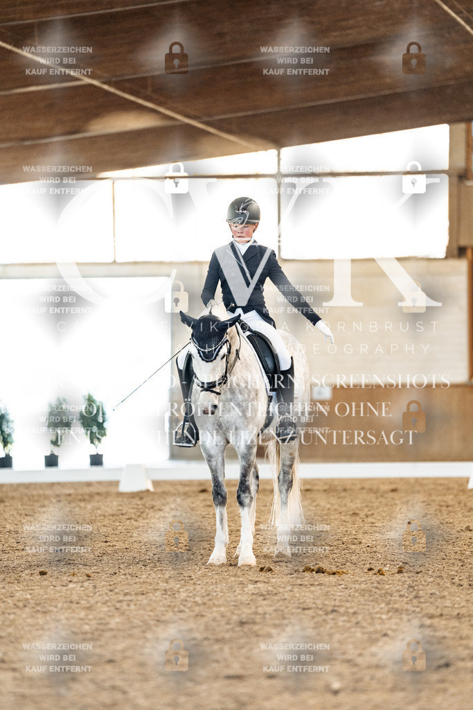 CK907807 | Turnierfotografie Pferdefotografie Trier Rheinland-Pfalz Pferdesport Reitsport Tierfotografie Sportfotografie Pferdevideo Pferdevideografie Equestrianvideography equestrianphotography  - Realisiert mit Pictrs.com