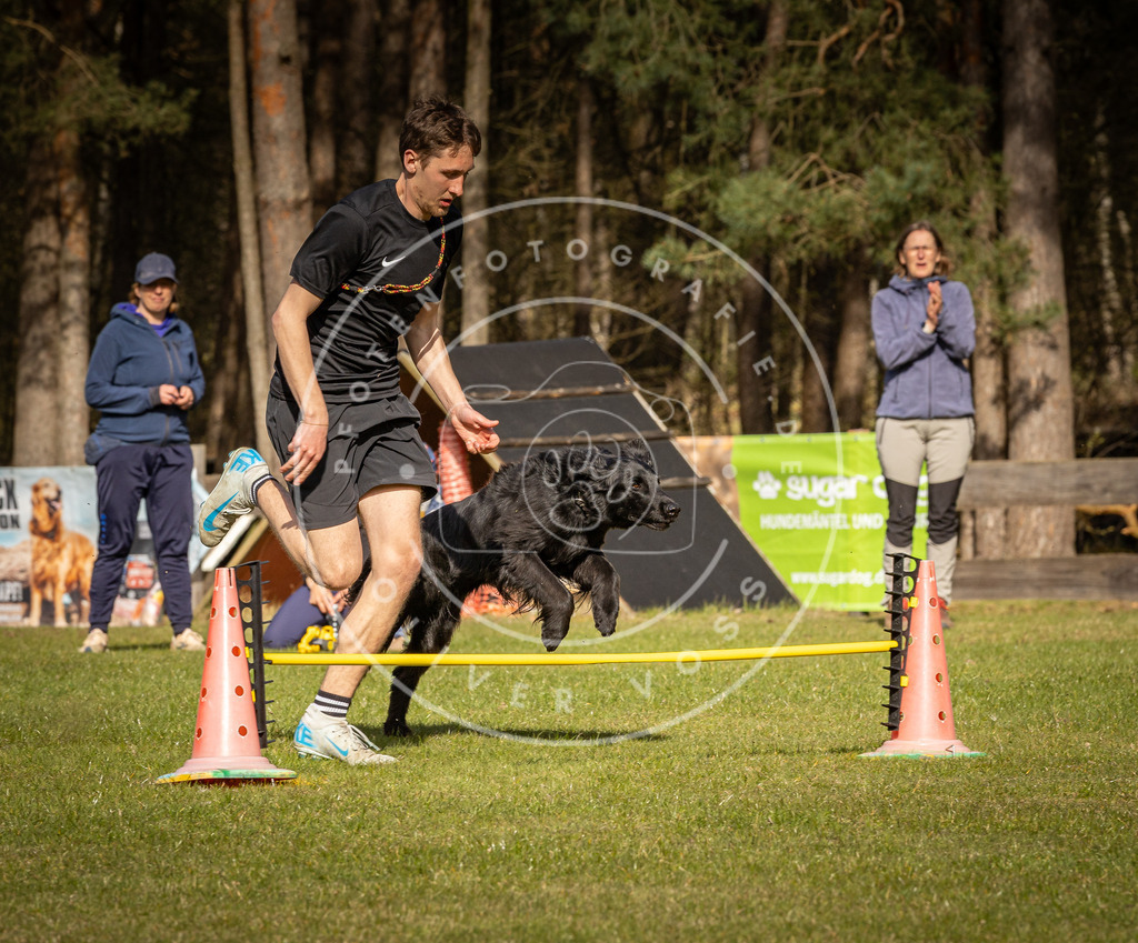 Pfotenfotografie_DV3A2639 | Hundefotografie, Tierfotograf, Pfotenfotografie, Fotoshooting Hund, Hunde Portrait, Hundesport, Hundeportraits, Heideshooting, Hunde, Sportfotograf, Hundefotograf, Turnierhundsport, THS,  - Realisiert mit Pictrs.com