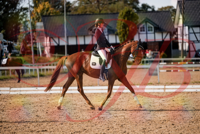 2026_10_03_Siefer-Hof_132757_Z63_87420998 | Professionelle Reitsport-, Turnier- und Eventfotografie von Robert Broda. Galerien mit ausgewählten und bearbeiteten Bildern direkt online ansehen und bestellen.