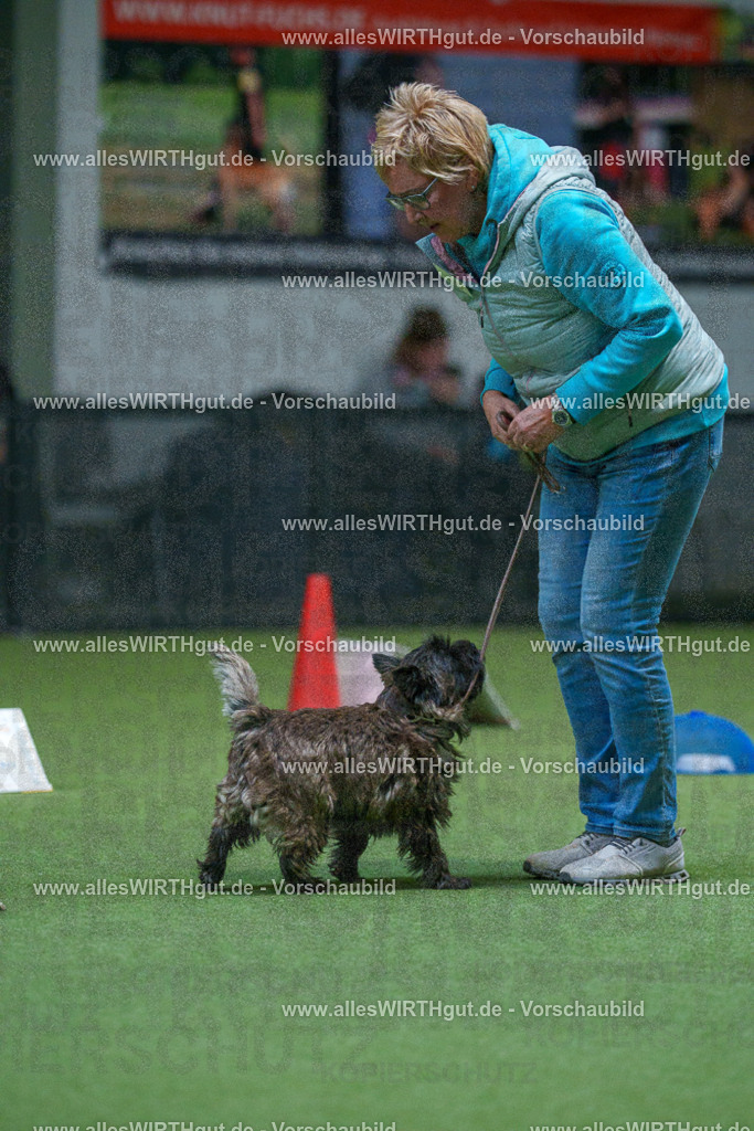 7R503216 | Professionelle Tierfotografie in Mönchengladbach von Daniel Wirth (allesWIRTHgut). Liebevolle & natürliche Bilder von Hunden & Katzen für unvergessliche Erinnerungen.