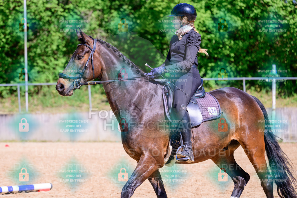 01052026-Giesenbach-02-Stiltrail-0427 | Fokus Hufschlag Fotografie - Realisiert mit Pictrs.com