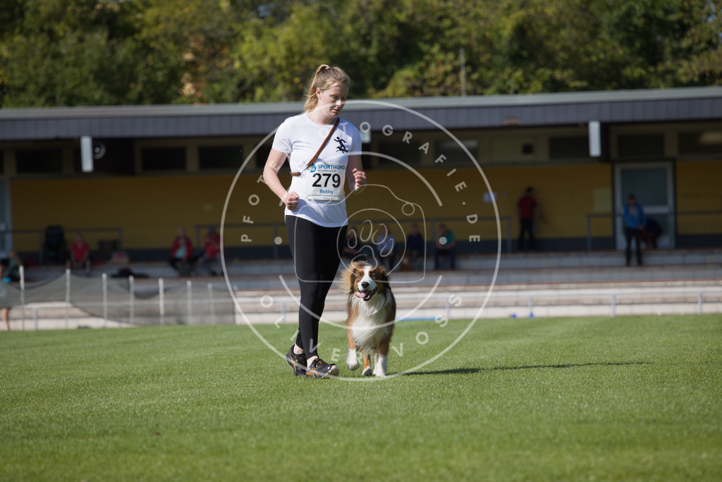 0L8A2483 | Hundefotografie, Tierfotograf, Pfotenfotografie, Fotoshooting Hund, Hunde Portrait, Hundesport, Hundeportraits, Heideshooting, Hunde, Sportfotograf, Hundefotograf, Turnierhundsport, THS,  - Realisiert mit Pictrs.com