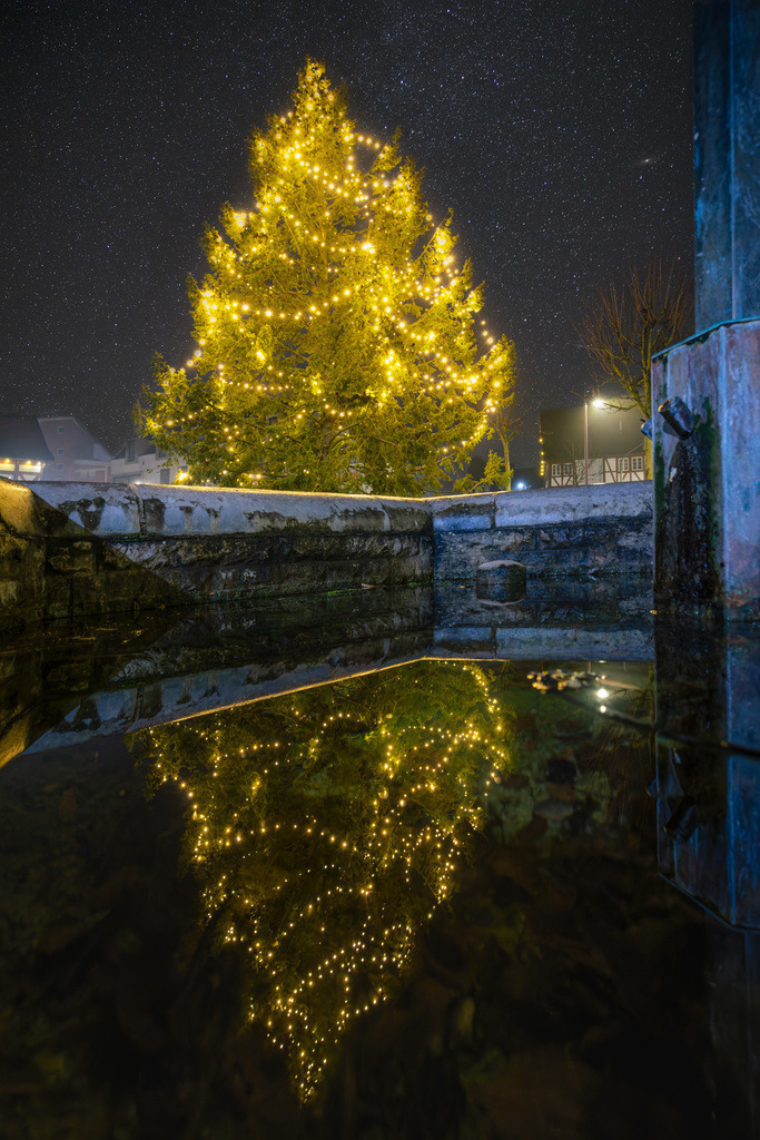 2024-12-12 Hemmingen Weihnachtsbaum 032_ | Schwotte Media - Realisiert mit Pictrs.com