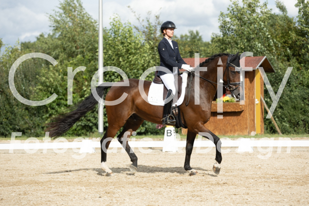 IMG_7004 | Creatify Fotografie