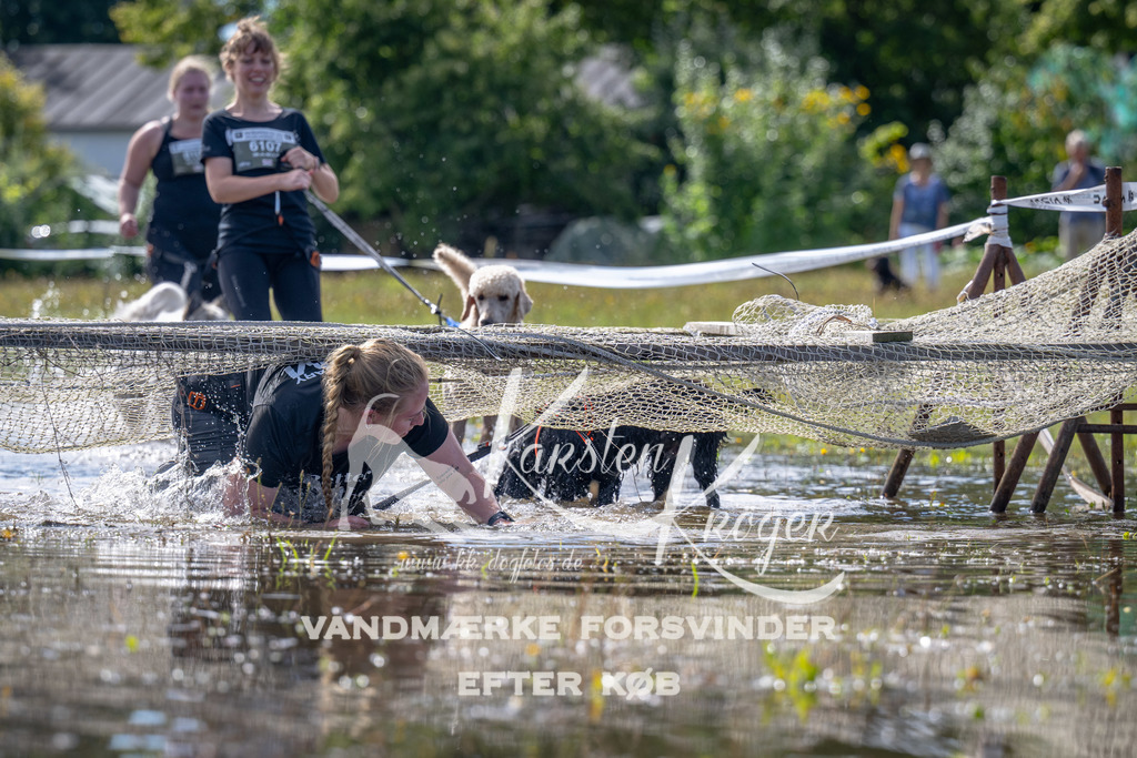 1217_ZZ93475 | kk-dogfotos