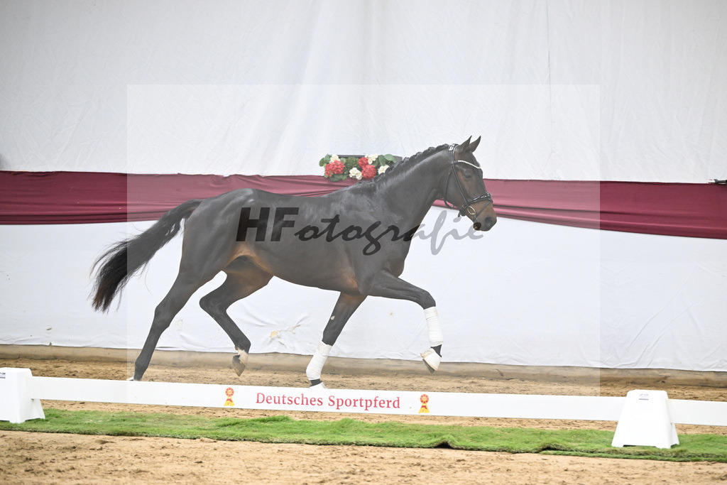 Kat-Nr. 46 Zenetti x Ritz Carlton_Udo Kast_47251638 | hf-fotografie - Realisiert mit Pictrs.com