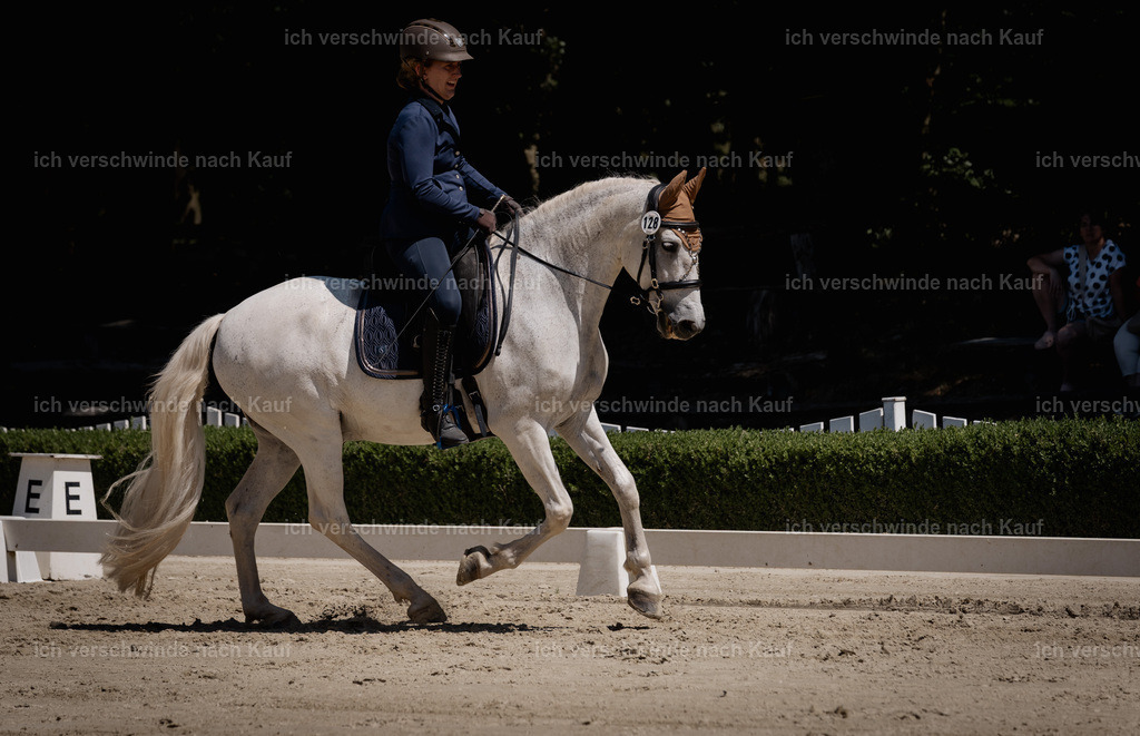 WE_DR_128_SinaFilmArt_IN03695 | working equitationturnier fotograf videograf stoibphotography marixx film working equitation deutschland reitsport turnierfotografie eventfotografie equestrian events