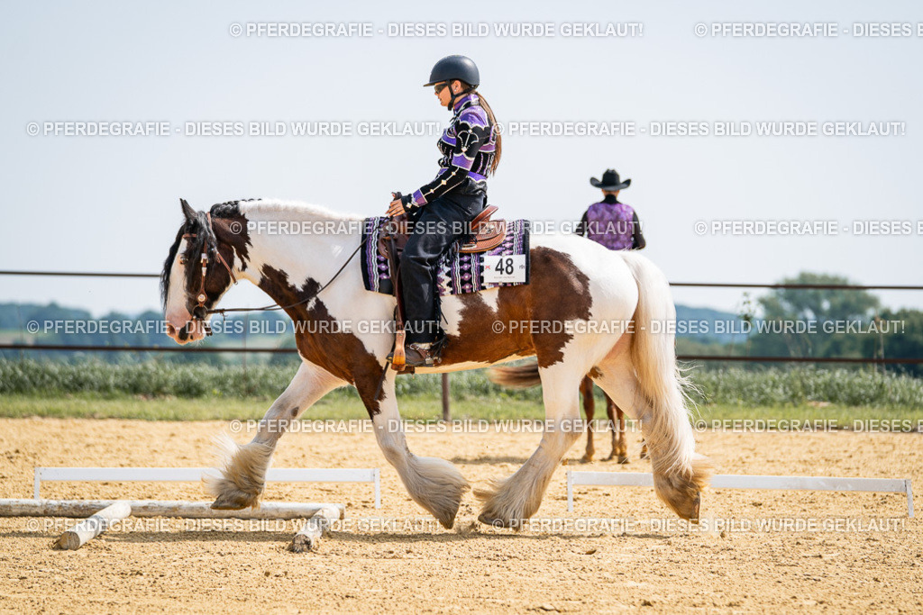 DSC00040 | Pferdegrafie