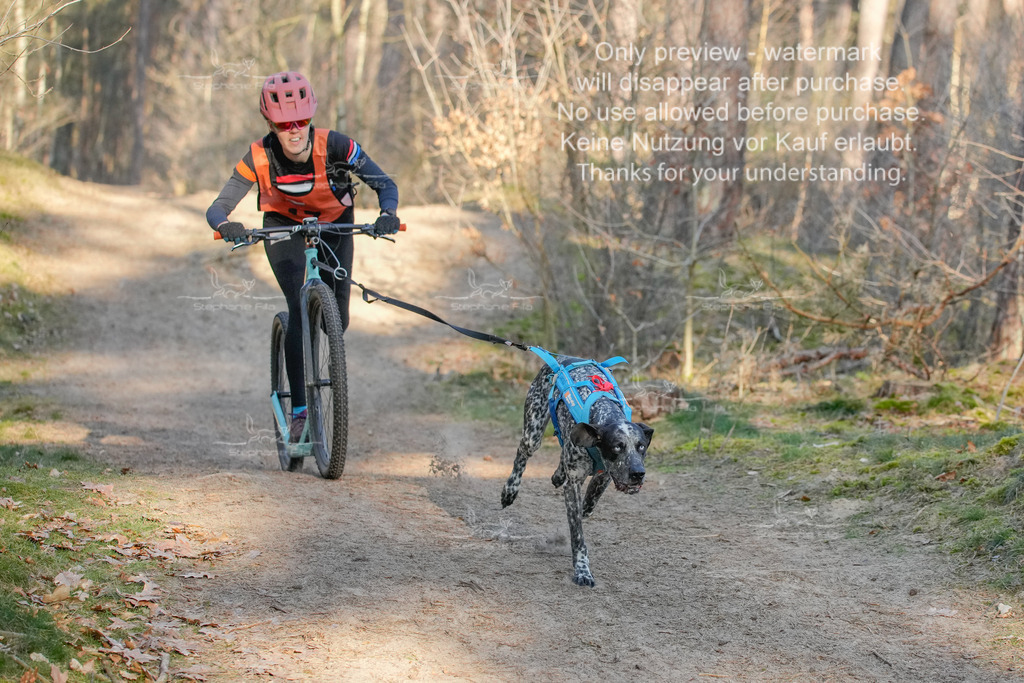 Sa_Scooter-66 | stephaniefillaphotographie - Realisiert mit Pictrs.com