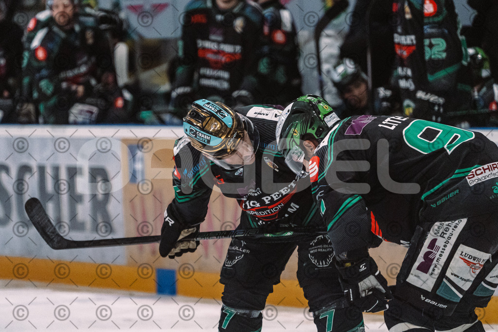 Alligators_vs_Erding_01_02_2026-44 | Höchstadt Alligators Fotogalerie: Eishockey-Action aus Franken. Professionelle Spielfotos, Portraits & Stadionbilder zum Download. Jetzt entdecken! - Realisiert mit Pictrs.com