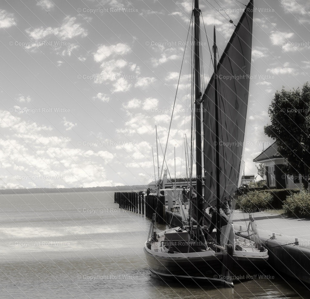 1D3A6578 | Rolf Wittke  - Realisiert mit Pictrs.com