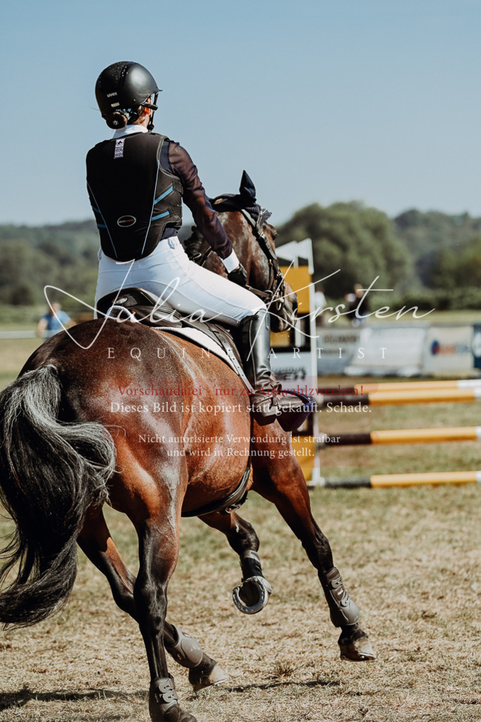 DSC_9504 | Pferde- und Turnierfotografie in Westsachsen. Pferdeportraits, Auftragszeichnungen und intuitive Kunst.