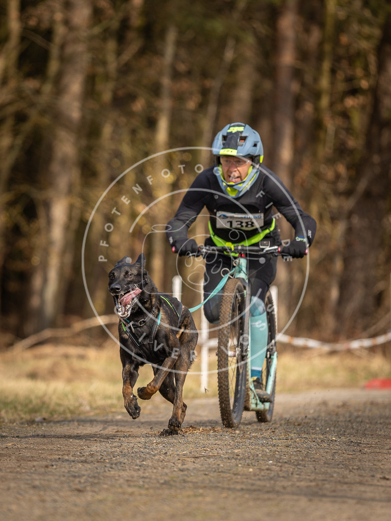 DV3A4712 | Hundefotografie, Tierfotograf, Pfotenfotografie, Fotoshooting Hund, Hunde Portrait, Hundesport, Hundeportraits, Heideshooting, Hunde, Sportfotograf, Hundefotograf, Turnierhundsport, THS,  - Realisiert mit Pictrs.com