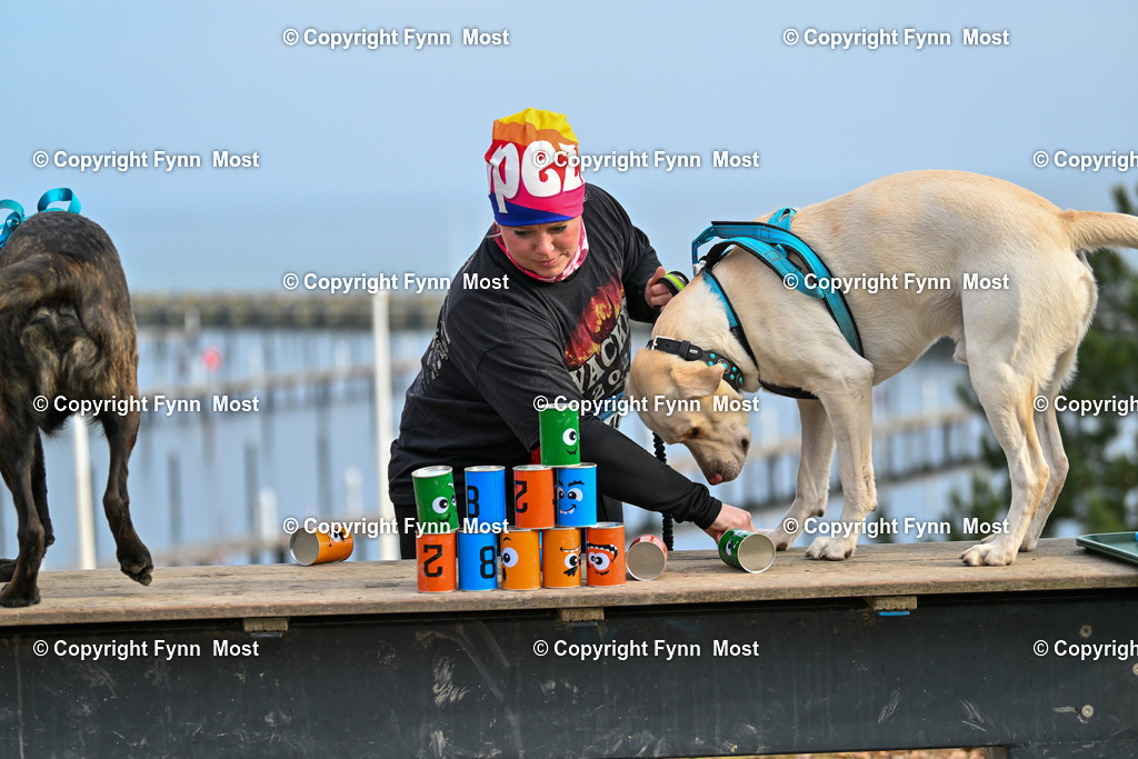 DSC_6360 | Hallo und herzlich Willkommen auf meiner Shop-Seite Fynn Most.

Ich wünsche Dir viel Spaß beim stöbern durch die Bilder, wenn Du Fragen hast oder Bilder vermisst, kannst du mir gerne eine Nachricht schreiben. - Realisiert mit Pictrs.com