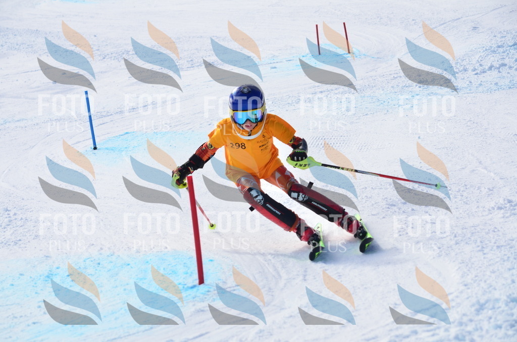 C8744 | holidayphoto