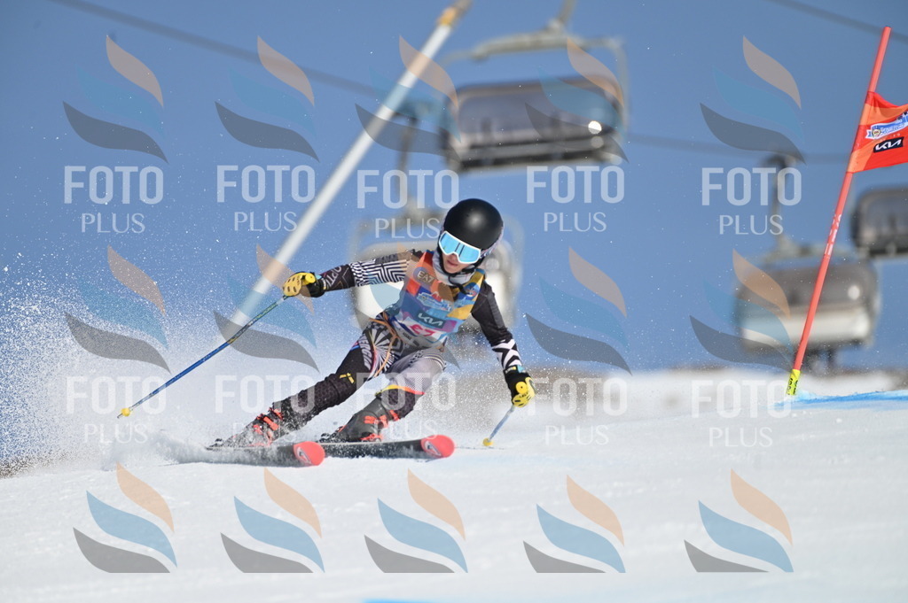 BGV_8085 | holidayphoto