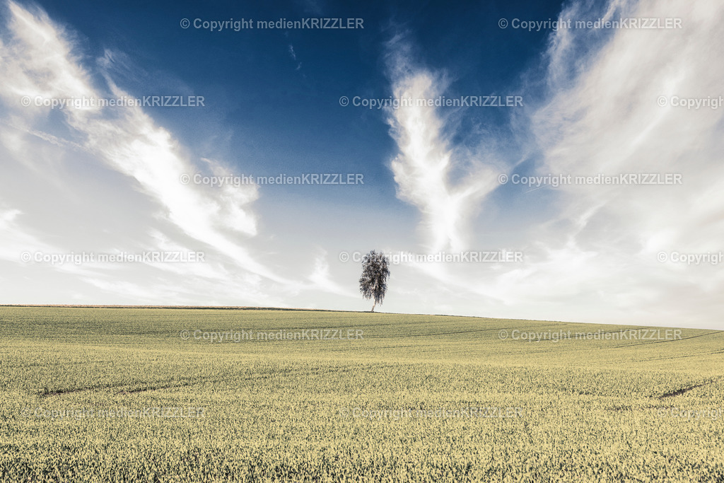 _J3A8942 | medienkrizzler - Realisiert mit Pictrs.com