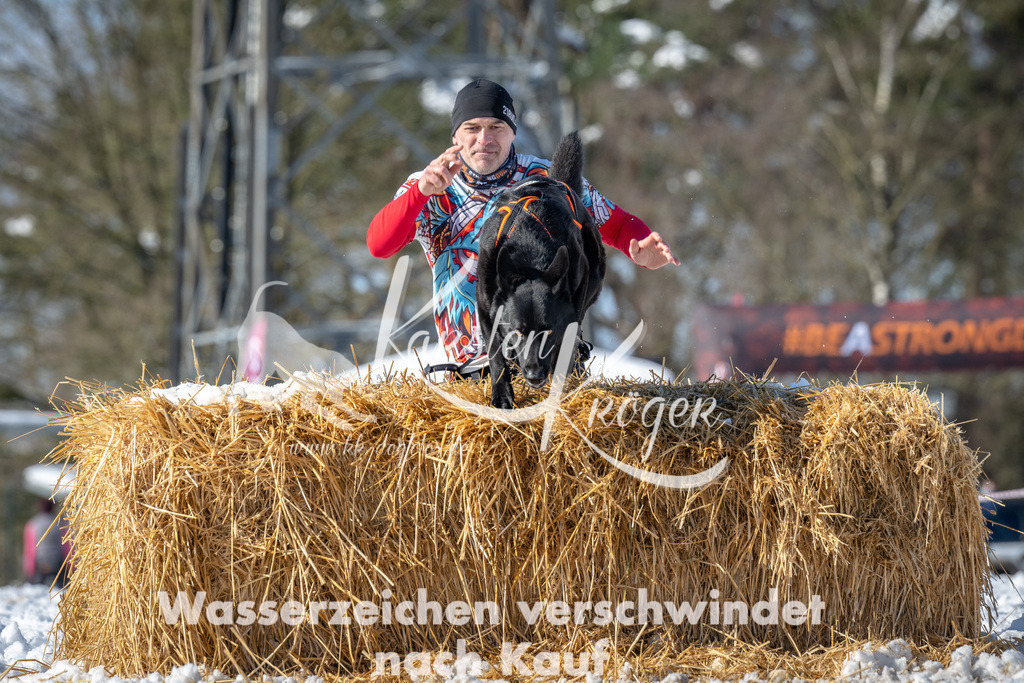 1211_ZZ92115-4 | kk-dogfotos