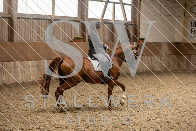2L2A5637 | stallwerkstudio - Realisiert mit Pictrs.com