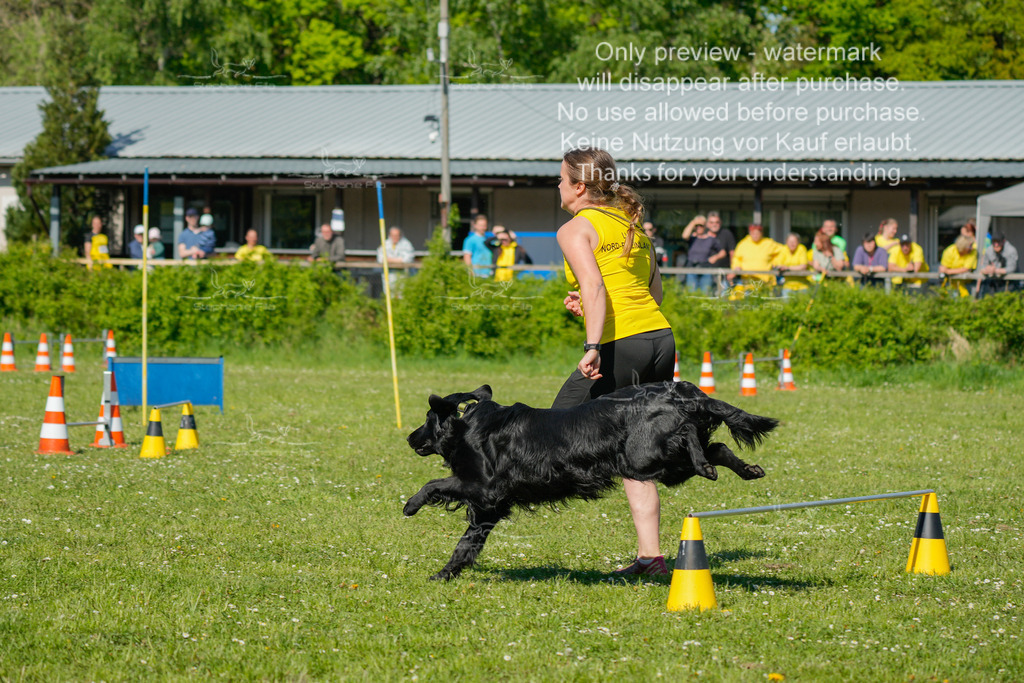 Sa_CSC-11 | stephaniefillaphotographie - Realisiert mit Pictrs.com