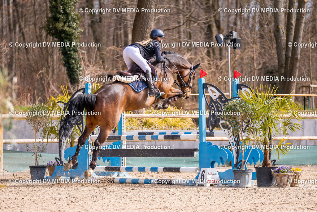 Kranichstein Tag 1-474 | dv-media-shop - Realisiert mit Pictrs.com