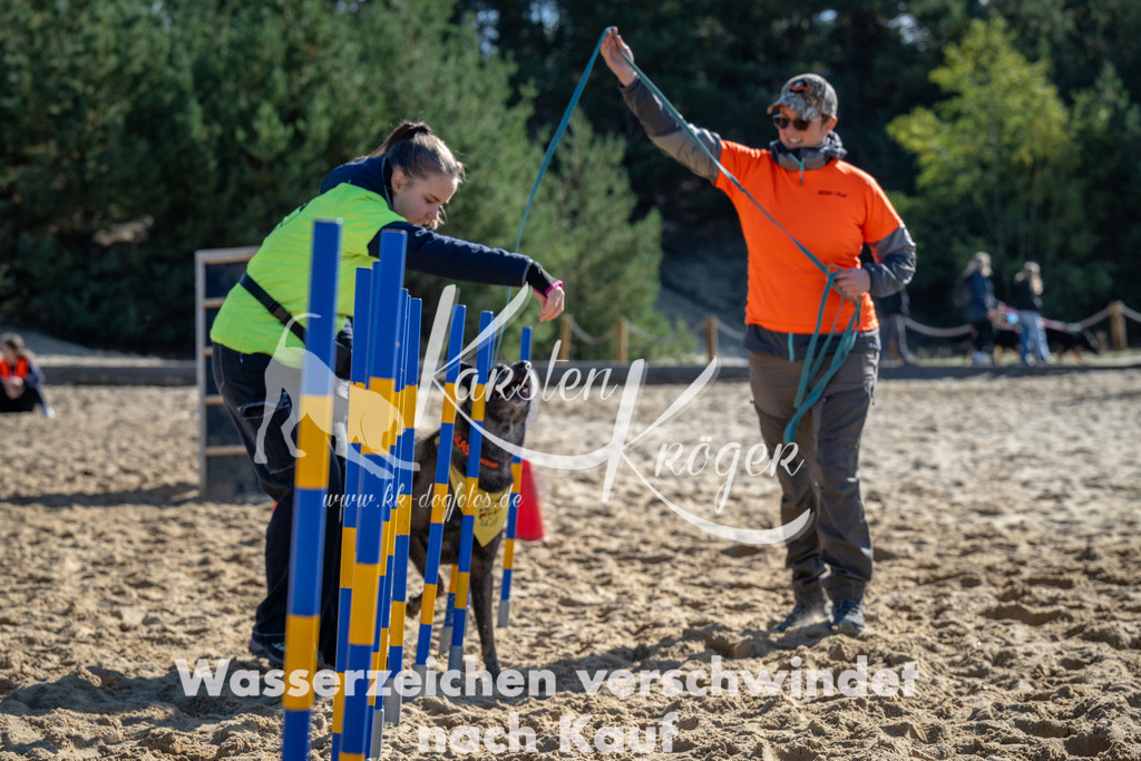 1132_ZZ91448 | kk-dogfotos