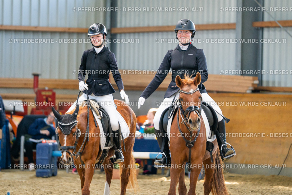 DSC01541 | Pferdegrafie