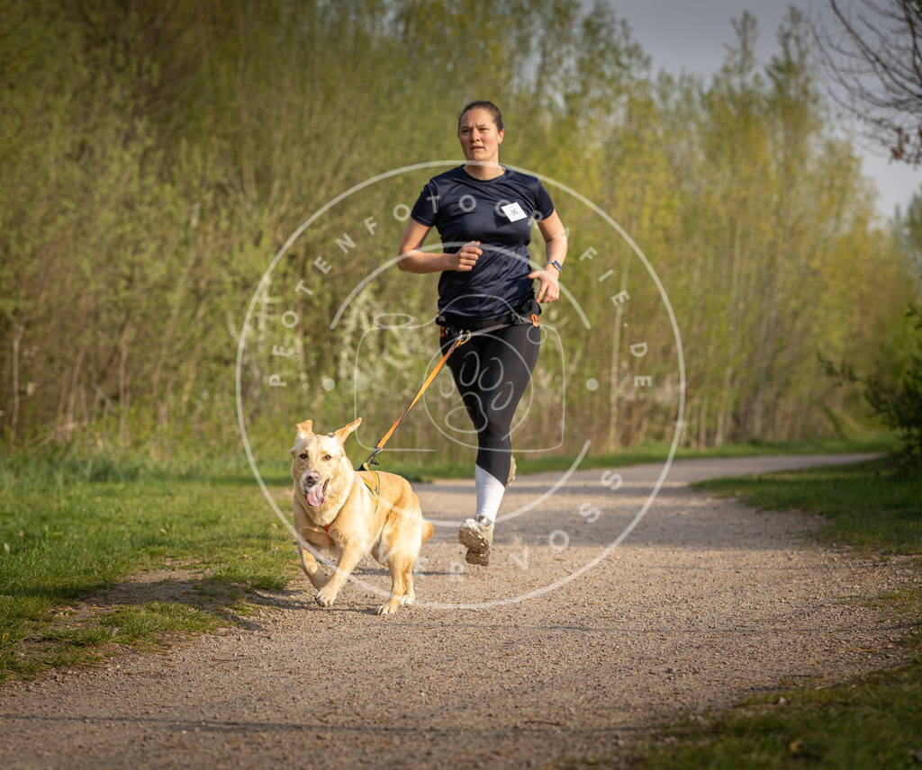 Pfotenfotografie_DV3A4493 | Hundefotografie, Tierfotograf, Pfotenfotografie, Fotoshooting Hund, Hunde Portrait, Hundesport, Hundeportraits, Heideshooting, Hunde, Sportfotograf, Hundefotograf, Turnierhundsport, THS,  - Realisiert mit Pictrs.com