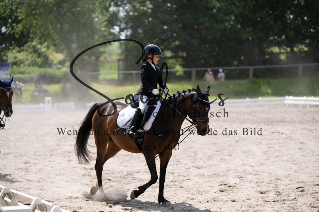 A7V02925 | Pferdefotograf