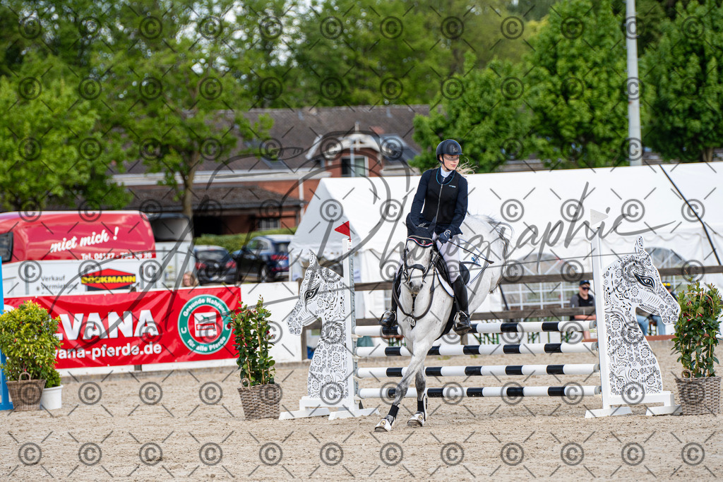 KPT_5024 | andre_photographic