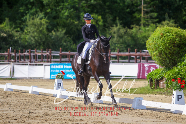 DKP46552 | Turniersportfotografie; Pferdefotografie; Dressurfotografie