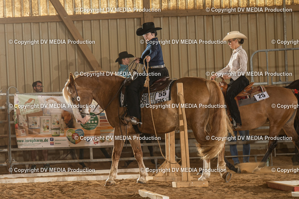 NID02714 | dv-media-shop - Realisiert mit Pictrs.com