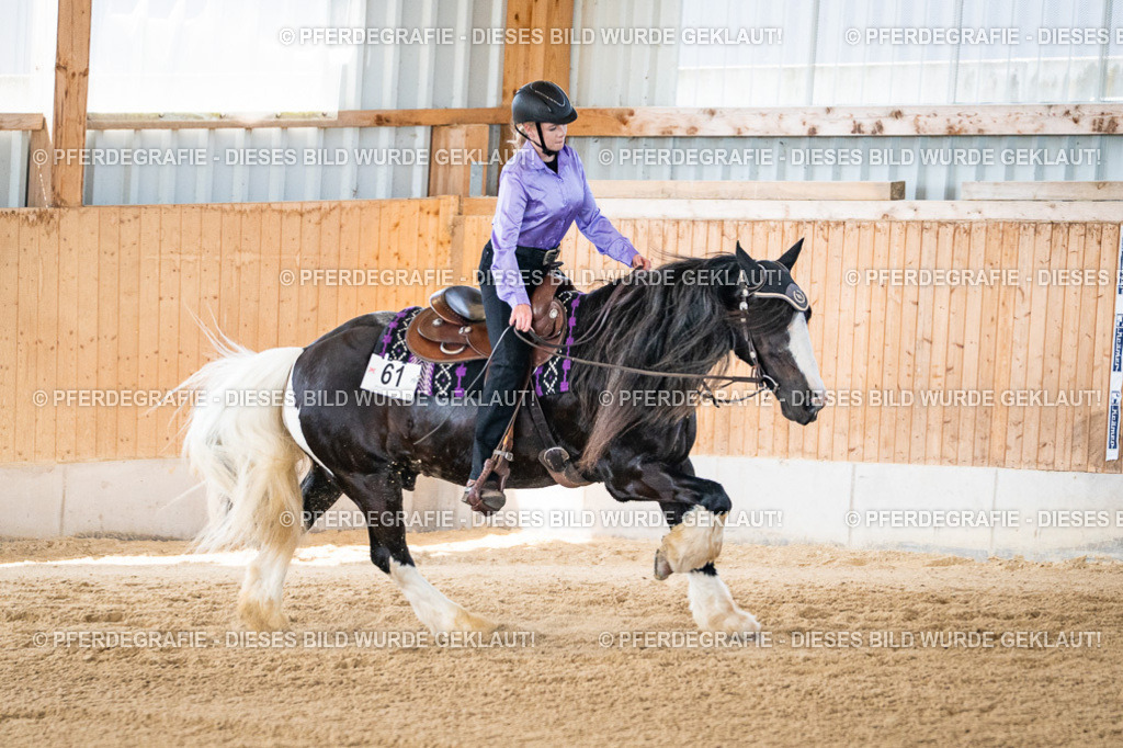 DSC03229 | Pferdegrafie