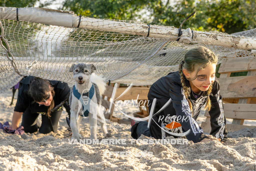 1647_ZZ99418 | kk-dogfotos