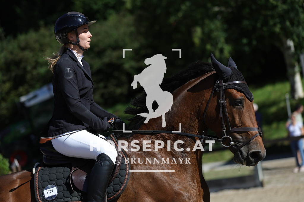0P6A5300 | Willkommen bei Brunnmayr - Design & Fotografie – Ihrem Spezialisten für Reitturniere und Pferdeveranstaltungen in Oberösterreich, Salzburg und Bayern! Seit über 17 Jahren sind wir leidenschaftlich dabei.