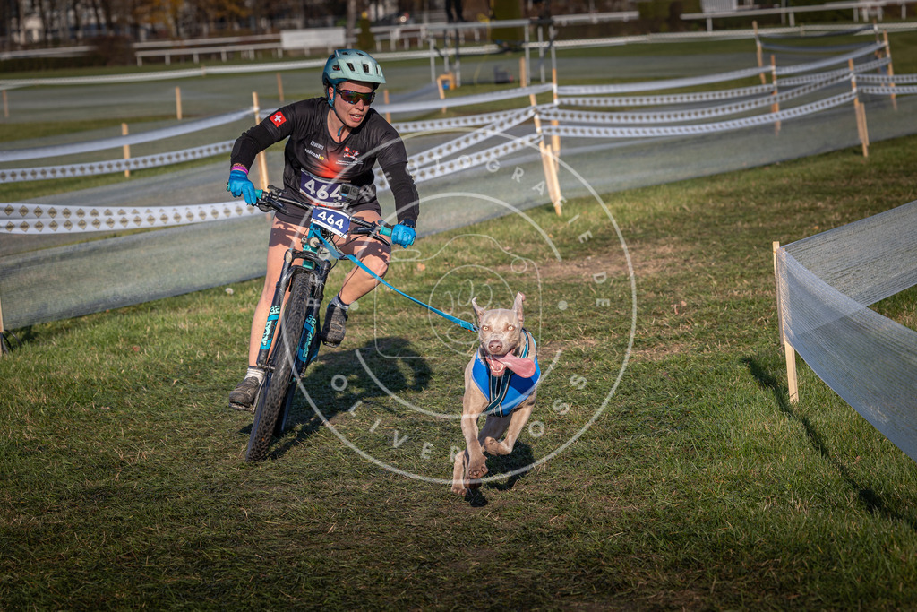 CaniXpix_0L8A4538 | Hundefotografie, Tierfotograf, Pfotenfotografie, Fotoshooting Hund, Hunde Portrait, Hundesport, Hundeportraits, Heideshooting, Hunde, Sportfotograf, Hundefotograf, Turnierhundsport, THS,  - Realisiert mit Pictrs.com