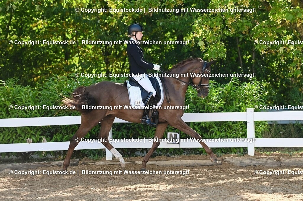 20230715_06_Dressurpferdeprfg. Kl.A_0420 | equistock