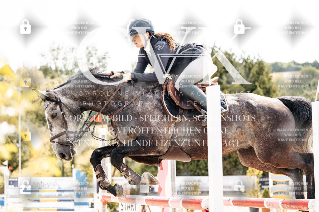 CK909091 | Turnierfotografie Pferdefotografie Trier Rheinland-Pfalz Pferdesport Reitsport Tierfotografie Sportfotografie Pferdevideo Pferdevideografie Equestrianvideography equestrianphotography  - Realisiert mit Pictrs.com