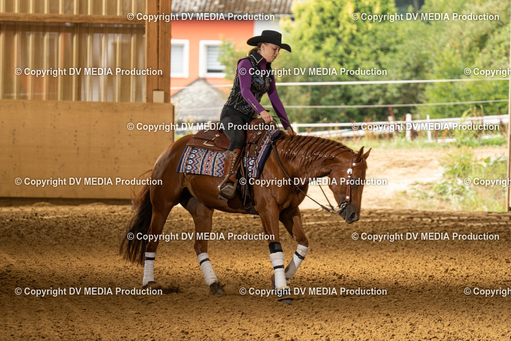 LAU01361 | dv-media-shop - Realisiert mit Pictrs.com