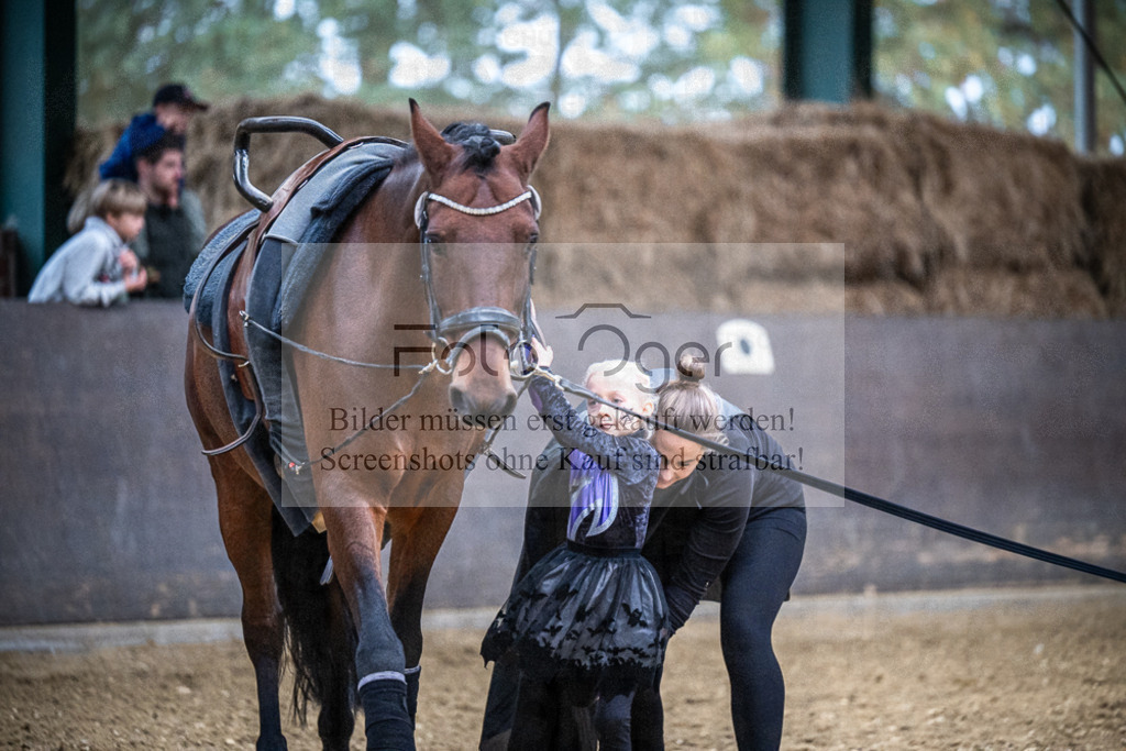 DOS_0121 | Entdecke hochwertige Reitturnierfotos von Foto Oger. Professionell, emotional und authentisch – jetzt Lieblingsmomente im Shop bestellen.Deutschlandweite Turnierfotografie. - Realisiert mit Pictrs.com