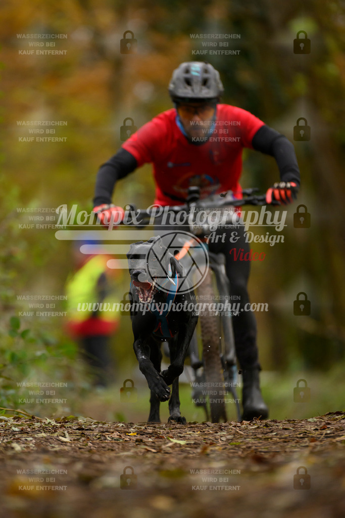 MompixPhotography_Bischwiller24_SA_VTT-33 | PayLife
