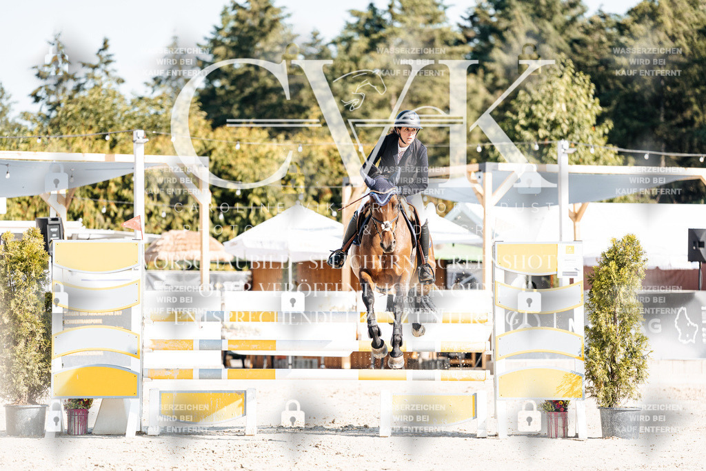 CK901810 | Turnierfotografie Pferdefotografie Trier Rheinland-Pfalz Pferdesport Reitsport Tierfotografie Sportfotografie Pferdevideo Pferdevideografie Equestrianvideography equestrianphotography  - Realisiert mit Pictrs.com