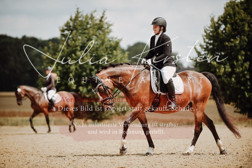 DSC_4296 | Pferde- und Turnierfotografie in Westsachsen. Pferdeportraits, Auftragszeichnungen und intuitive Kunst.