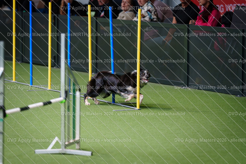 allesWIRTHgut_Tierfotografie-DVG_Agility_Masters_2026-10_36-7R504244 | Professionelle Tierfotografie in Mönchengladbach von Daniel Wirth (allesWIRTHgut). Liebevolle & natürliche Bilder von Hunden & Katzen für unvergessliche Erinnerungen.