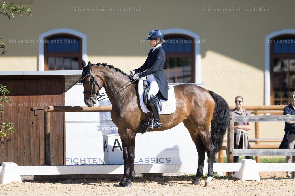 FHC2026_P07_239_17685 | working equitationturnier fotograf videograf stoibphotography marixx film working equitation deutschland reitsport turnierfotografie eventfotografie equestrian events