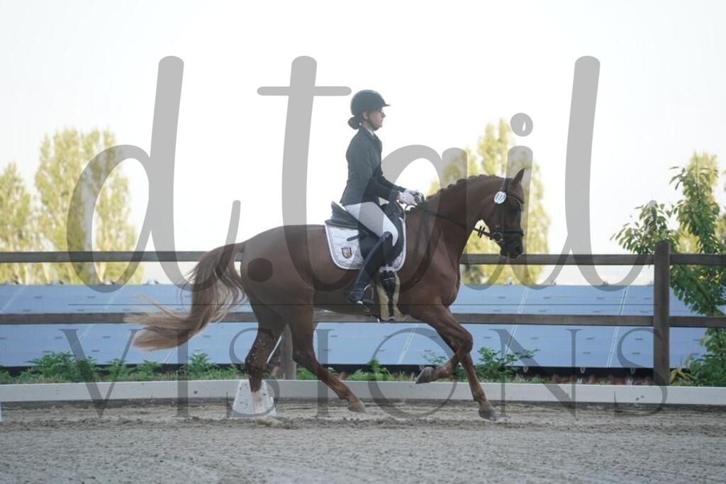 tgbhsonntag (16) | d.tail Visions - Shop - Realisiert mit Pictrs.com