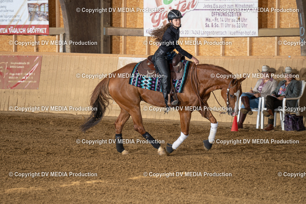 DSC00031 | dv-media-shop - Realisiert mit Pictrs.com