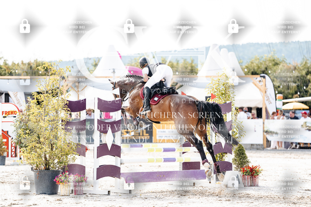 CK905810 | Turnierfotografie Pferdefotografie Trier Rheinland-Pfalz Pferdesport Reitsport Tierfotografie Sportfotografie Pferdevideo Pferdevideografie Equestrianvideography equestrianphotography  - Realisiert mit Pictrs.com