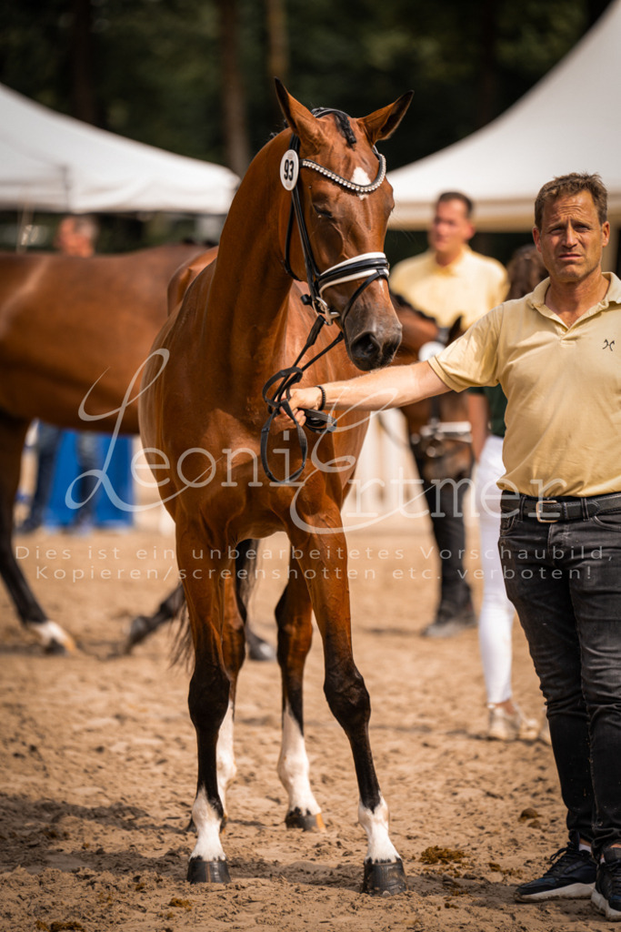 6.Fr00163 | Leoni Ertmer Photography - Realisiert mit Pictrs.com